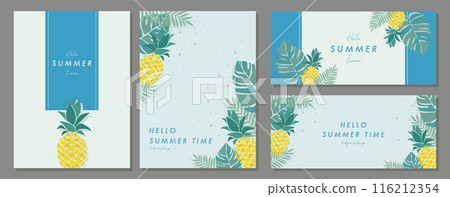 Summer tropical fruit material set frame background vector illustration simple stylish Summer tropical fruit material set frame background vector illustration simple stylish 116212354