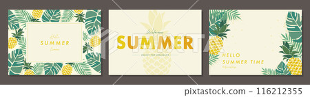 Summer tropical fruit material set frame background vector illustration simple stylish 116212355