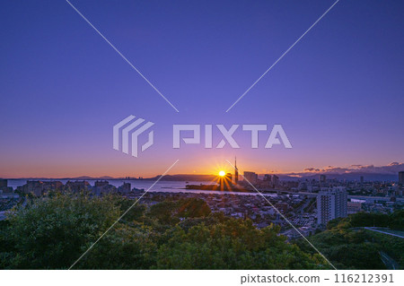 Beautiful cityscape of Fukuoka Beautiful cityscape of Fukuoka 116212391