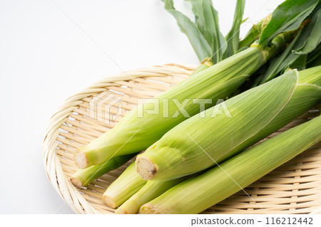 與皮革的年輕玉米 116212442