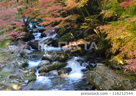 我去了名倉川谷 #45 116212544