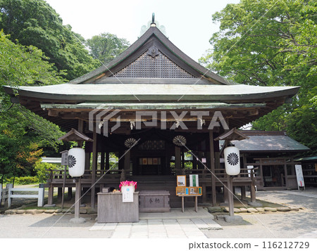鎌倉神社 鎌倉神社 116212729
