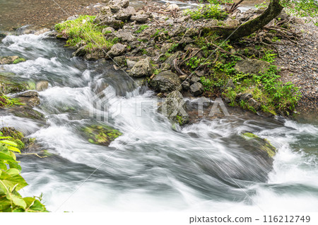 The clear stream of Kurama River in Kyoto The clear stream of Kurama River in Kyoto 116212749