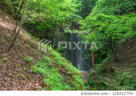 An erosion control dam in a wooded area in Sakyo Ward, Kyoto City An erosion control dam in a wooded area in Sakyo Ward, Kyoto City 116212754