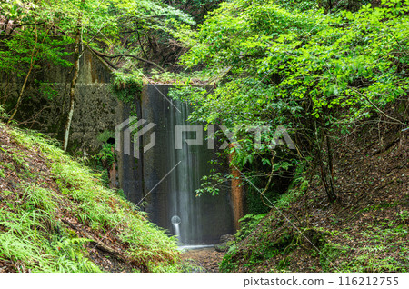 An erosion control dam in a wooded area in Sakyo Ward, Kyoto City 116212755