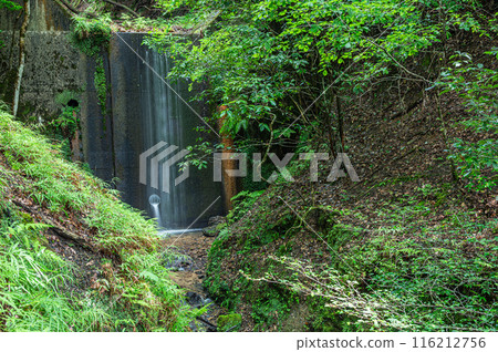 An erosion control dam in a wooded area in Sakyo Ward, Kyoto City An erosion control dam in a wooded area in Sakyo Ward, Kyoto City 116212756