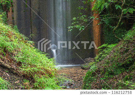 An erosion control dam in a wooded area in Sakyo Ward, Kyoto City 116212758