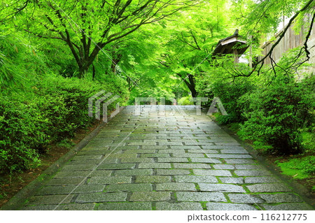 京都Mansyuin門紀念碑入口 京都Mansyuin門紀念碑入口 116212775