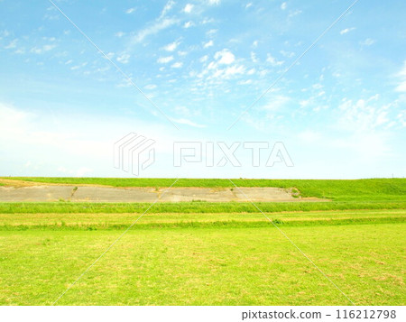 初夏雨季陽光明媚的江戶川河床足球場和河岸 初夏雨季陽光明媚的江戶川河床足球場和河岸 116212798