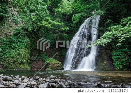 Garon Falls (Garon Falls) 116213174