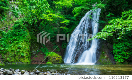 Garon Falls (Garon Falls) 116213177