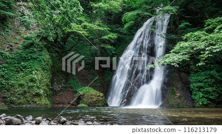 阿貢瀑布 (Agon Falls) 阿貢瀑布 (Agon Falls) 116213179