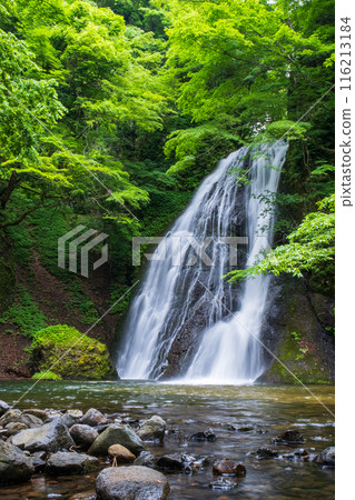 阿貢瀑布 (Agon Falls) 116213184