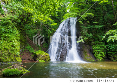 阿貢瀑布 (Agon Falls) 阿貢瀑布 (Agon Falls) 116213224