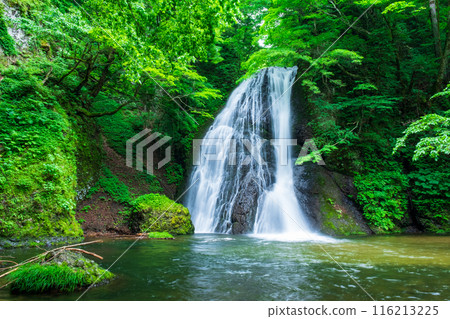 Garon Falls (Garon Falls) 116213225