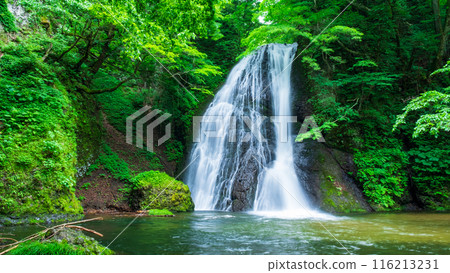 Garon Falls (Garon Falls) Garon Falls (Garon Falls) 116213231