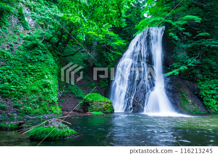 阿貢瀑布 (Agon Falls) 阿貢瀑布 (Agon Falls) 116213245