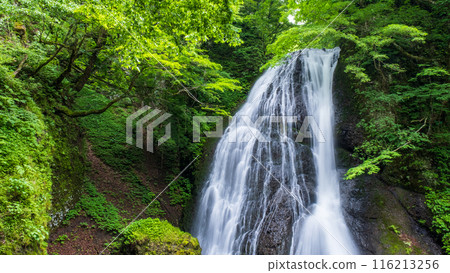 Garon Falls (Garon Falls) Garon Falls (Garon Falls) 116213256