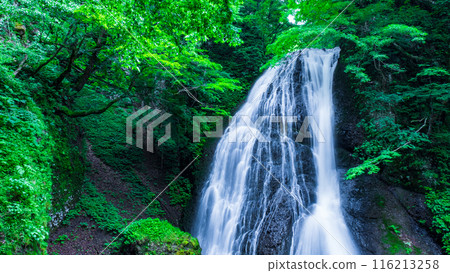 Garon Falls (Garon Falls) 116213258
