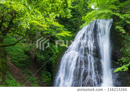 阿貢瀑布 (Agon Falls) 阿貢瀑布 (Agon Falls) 116213260