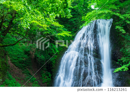 阿貢瀑布 (Agon Falls) 116213261