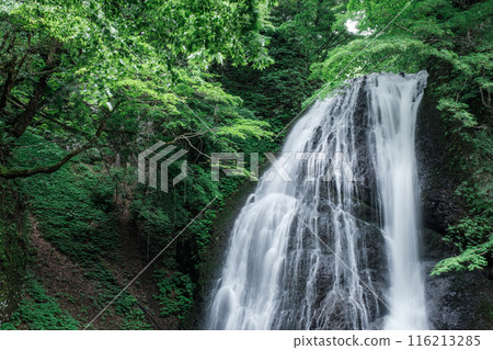 阿貢瀑布 (Agon Falls) 阿貢瀑布 (Agon Falls) 116213285