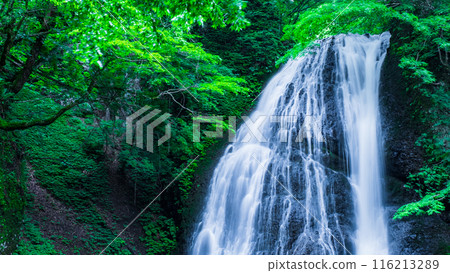 阿貢瀑布 (Agon Falls) 116213289