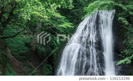 阿貢瀑布 (Agon Falls) 阿貢瀑布 (Agon Falls) 116213290
