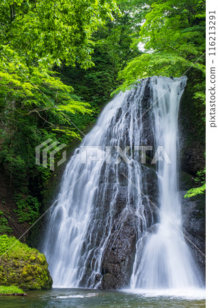 Garon Falls (Garon Falls) Garon Falls (Garon Falls) 116213291