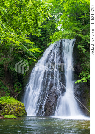 Garon Falls (Garon Falls) Garon Falls (Garon Falls) 116213295