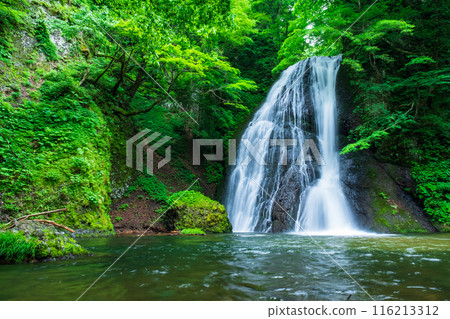 阿貢瀑布 (Agon Falls) 阿貢瀑布 (Agon Falls) 116213312