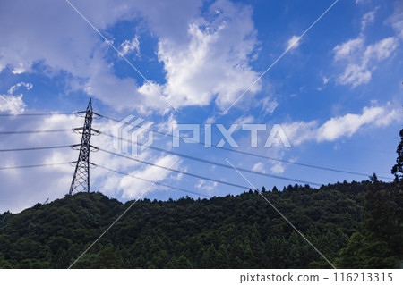 山上的輸電線路和鋼塔[群馬縣吾妻郡中之條町] 116213315