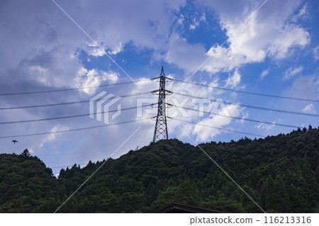Power lines and towers on top of a mountain [Nakanojo Town, Agatsuma District, Gunma Prefecture] 116213316