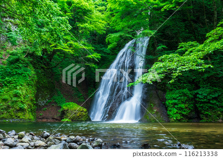 Garon Falls (Garon Falls) 116213338