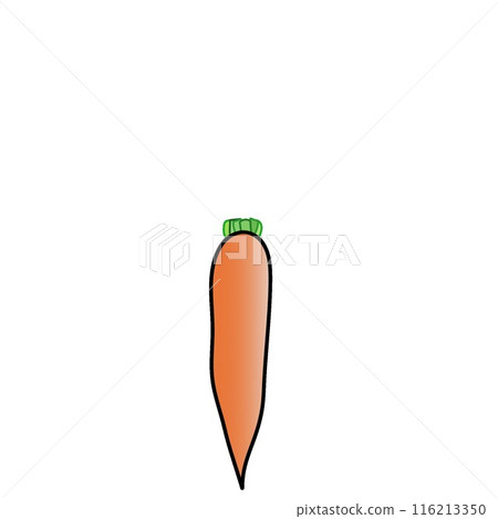 Carrots illustration 116213350