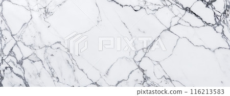 Premium White Marble Surface Detail, Highlighting Sophisticated Grey Vein Patterns, Interior Design Project, Offering Luxurious Natural Stone Background Texture 116213583