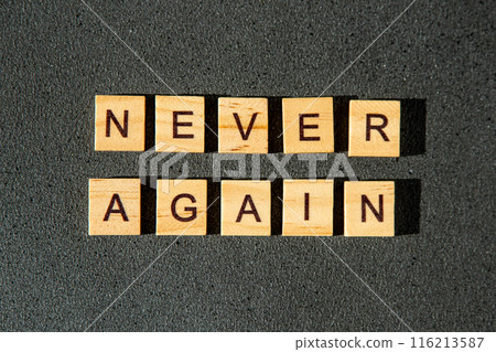 Never again wooden letters 116213587