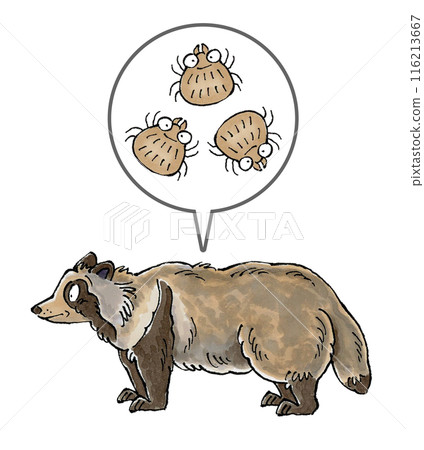 Raccoon and tick Raccoon and tick 116213667