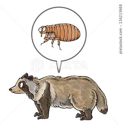 Raccoon and flea Raccoon and flea 116213668