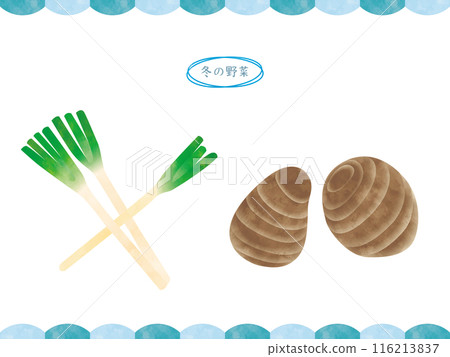 手寫冬季蔬菜-蔥和芋頭 手寫冬季蔬菜-蔥和芋頭 116213837