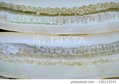 Cucumber cross section for seeds Cucumber cross section for seeds 116214141