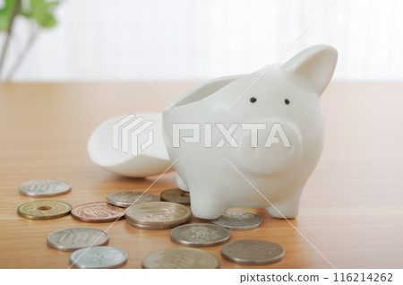 損壞的存錢筒和金錢 116214262