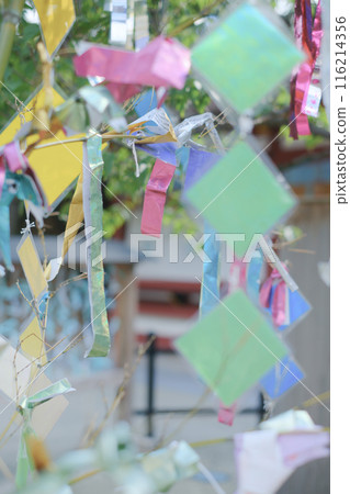 Dazaifu Tenmangu Shrine Tanabata Festival 116214356
