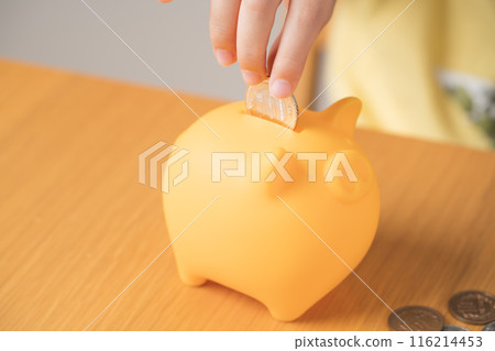 Child's hands putting money into a piggy bank 116214453