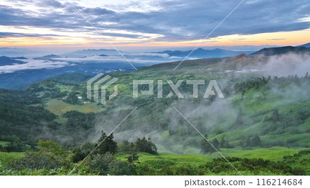 Summer: View of the foothills of Mt. Shirane at sunrise from Shibu Pass in Shiga Kogen Summer: View of the foothills of Mt. Shirane at sunrise from Shibu Pass in Shiga Kogen 116214684