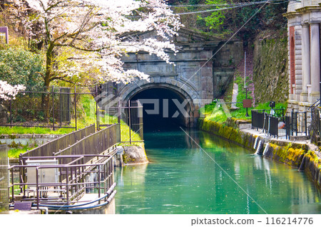 [Kyoto Scenery] Cherry blossoms at Keage Incline 116214776