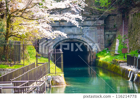 [Kyoto Scenery] Cherry blossoms at Keage Incline 116214778