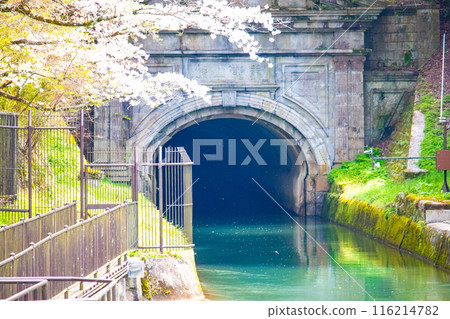 【京都風景】蹴上斜坡櫻花 【京都風景】蹴上斜坡櫻花 116214782