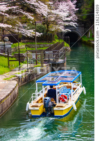 [Kyoto Scenery] Cherry blossoms at Keage Incline 116214809