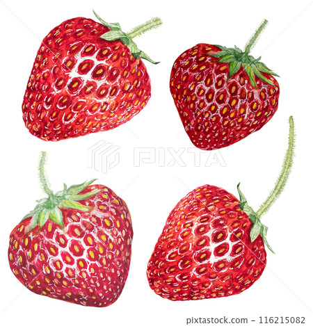 Watercolor red juicy strawberry with leaves. Food background, painted bright composition. Hand drawn food illustration. Fruit print. Summer sweet fruits and berries Watercolor red juicy strawberry with leaves. Food background, painted bright composition. Hand drawn food illustration. Fruit print. Summer sweet fruits and berries 116215082